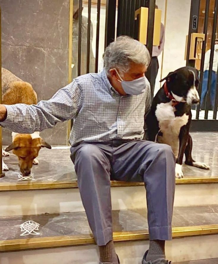 Ratan tata dogs love